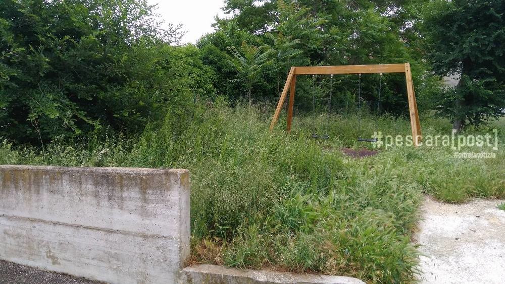 Parco Cicognini, erba alta e area impraticabile: la denuncia di un ... - PescaraPost
