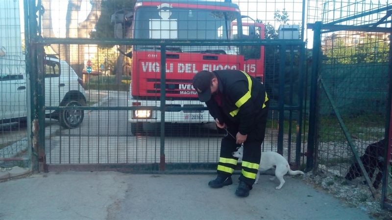 cucciolo cane salvato dalle rotaie ferrovia montesilvano (2)