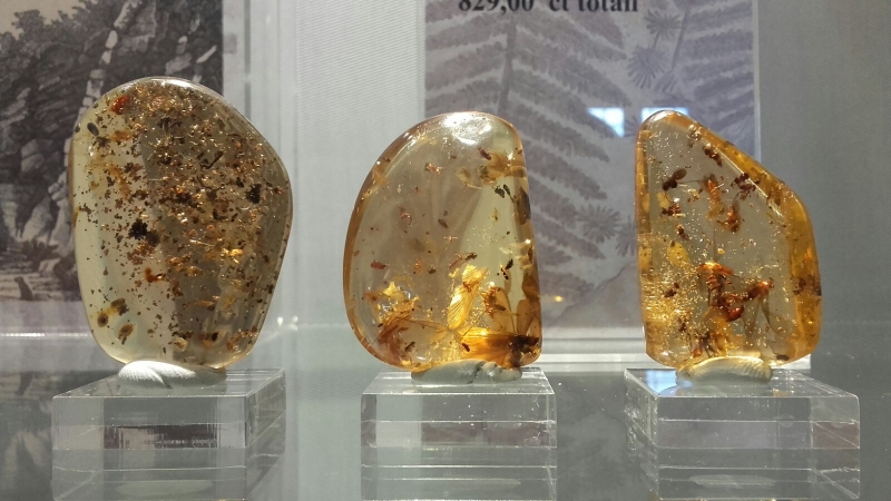 museo delle ambre san valentino in abruzzo citeriore (1)