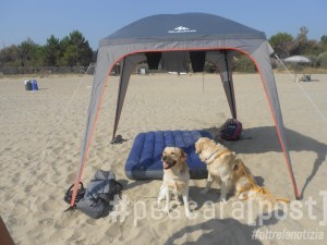 spiaggia libera cani