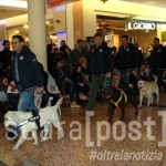 Befana ed esibizione cani al Porto Allegro 2 gennaio (11)