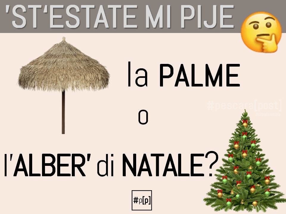 Albero Di Natale Estivo.Il Dubbio Per L Estate Palma O Albero Di Natale Pescarapost